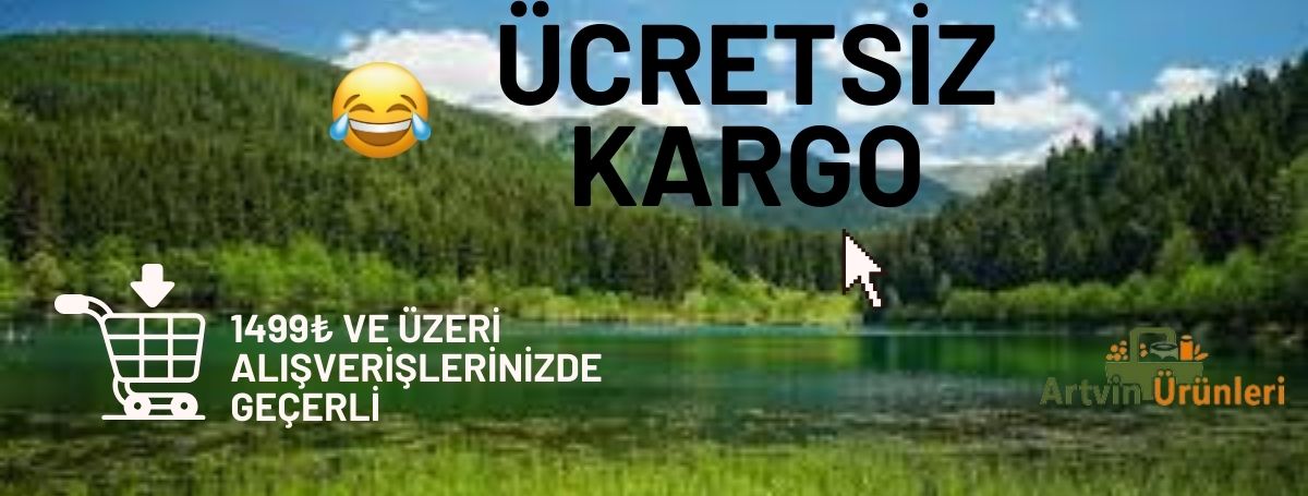 bedava kargo