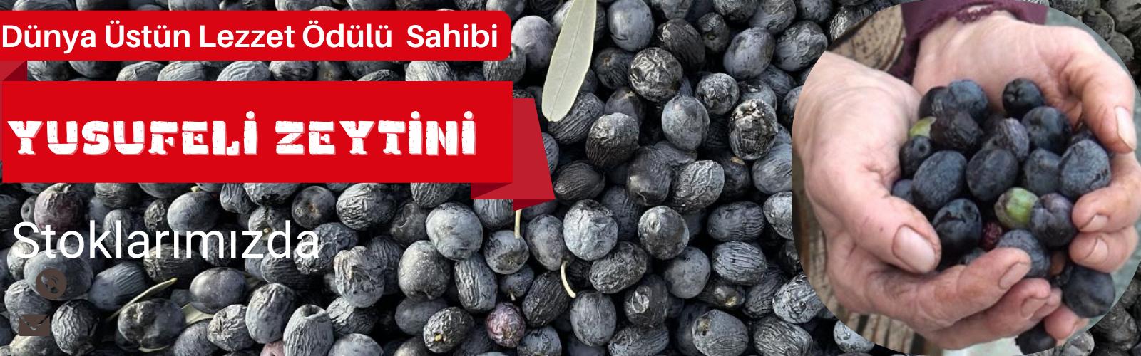 yusufeli butko zeytin